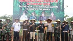 Pemkab Purwakarta Luncurkan Gerakan Tanam Padi Gogo untuk Dukung Swasembada Pangan