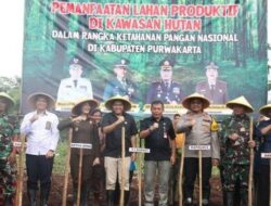 Pemkab Purwakarta Luncurkan Gerakan Tanam Padi Gogo untuk Dukung Swasembada Pangan