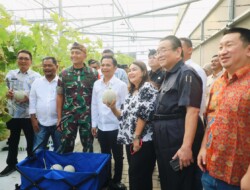 Panen Melon dan Harapan Baru untuk Petani Muda Purwakarta